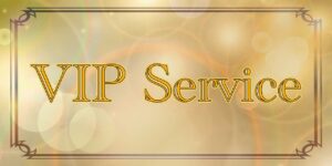 VIPService画像